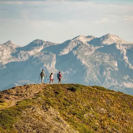 酒店 Superior Alpenhof 4*